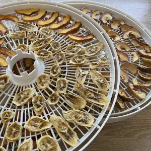 Сушилка Ezidri Snackmaker FD500 Digital