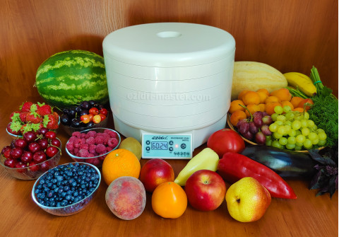 Сушилка Ezidri Snackmaker FD500 Digital рядом с фруктами, ягодами и овощами, которые в ней сушат