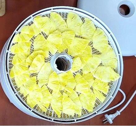 Лоток Ezidri Snackmaker FD500 с сетчатым листом и ломтиками ананаса — пример работы лотка без сплошного поддона