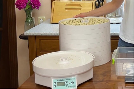 Суцільний піддон, знятий з основи сушарки Ezidri Snackmaker FD500, з обсипаними під час сушіння квітами акації