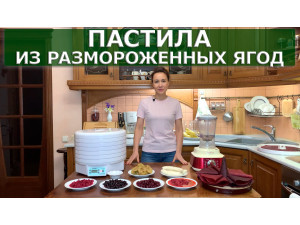 Зйомка пастили з розморожених ягід: миски з пюре і сушарка Ezidri