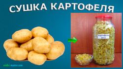 Сушіння картоплі
