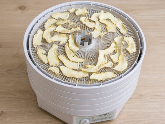 Сушёная дыня на лотке Ezidri Ultra FD1000
