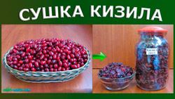 сушка кизилу