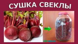 Сушені буряки для борщу
